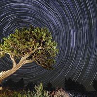 Ginebre de Ginero