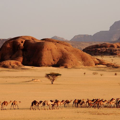 Ennedi, behind the tracks of the enigma