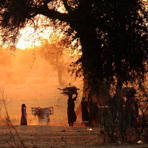 Korbo, Tchad