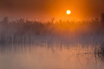 Sunrise in the marshes