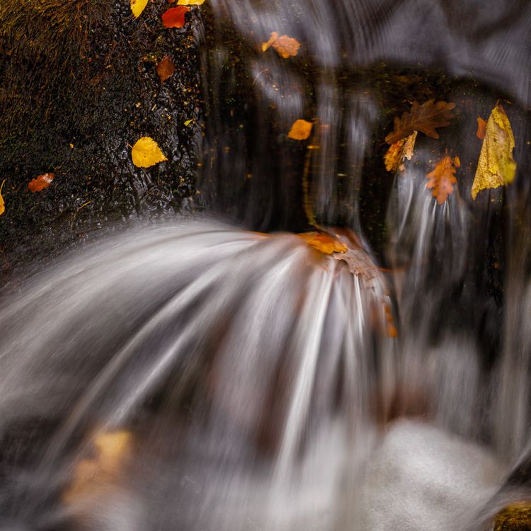 Rivers and Waterfalls