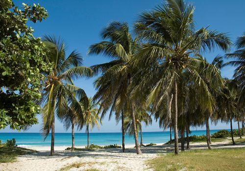 cuba