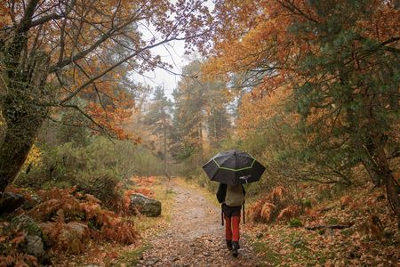 Paisajes Naturales (fotos a la venta)