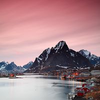 Reine II