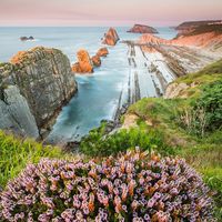 The Heather and the Sea