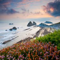 Garden by the Sea