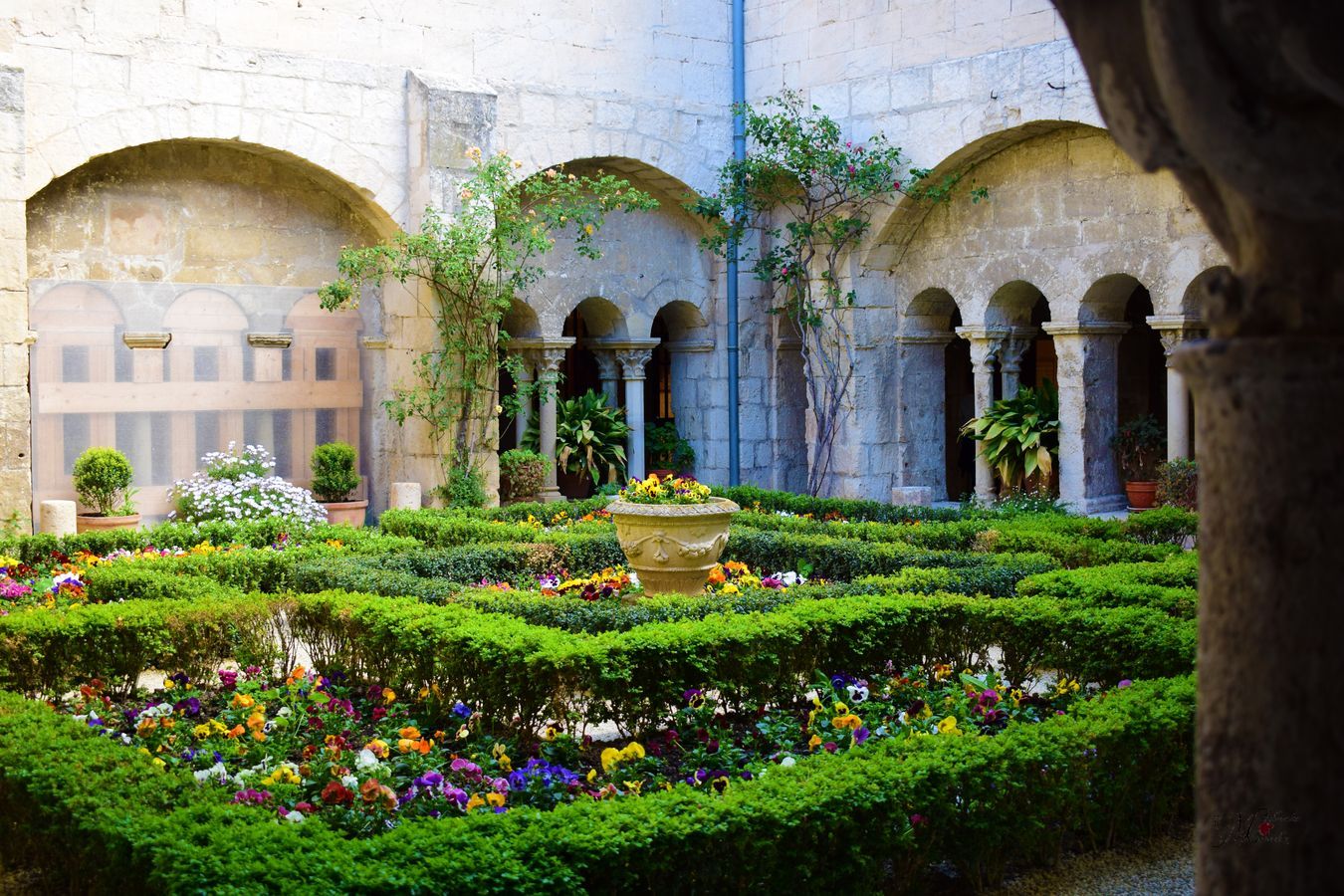 Claustro monasterio de Saint Paul de Mausole