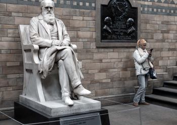 The Natural History Museum. Londres