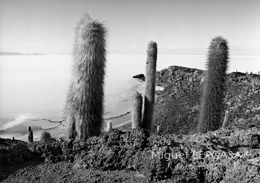 Salar de Uyuni. Bolivia