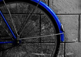 Color Selectivo