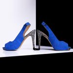Fashion accessories photography. Blue shoe with zebra heel