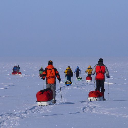 Polar expedition