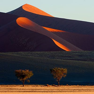 colors of the Namib