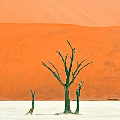 one Namib to Dali