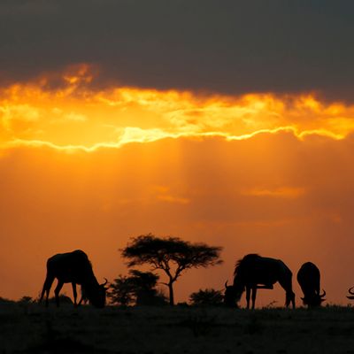 under sun of Kenya