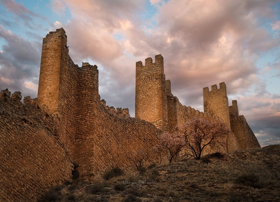 ALBARRACIN