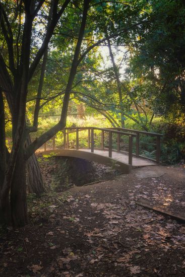 puente atardecer naturaleza mágia