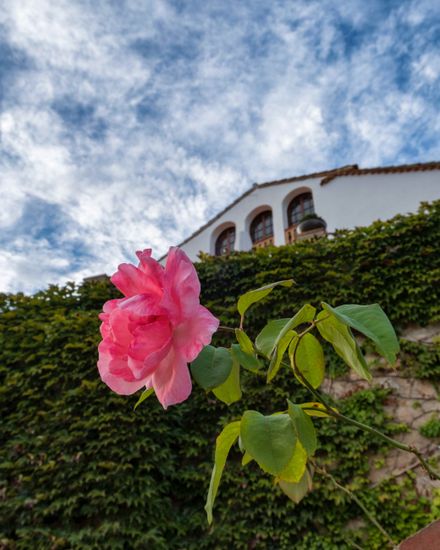 masia can colomer flor rosa bodas 