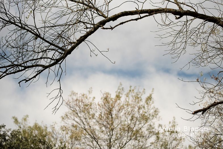 Mirando al cielo