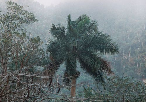 Montes de Cuba