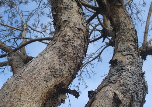 Naturaleza de Yucatán