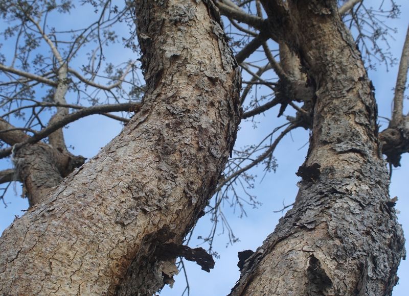 Naturaleza de Yucatán