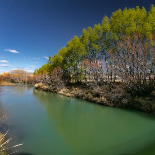 Paisaje / Landscape