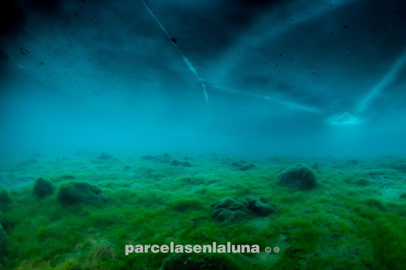 Buceo bajo hielo Panticosa, pradera submarina