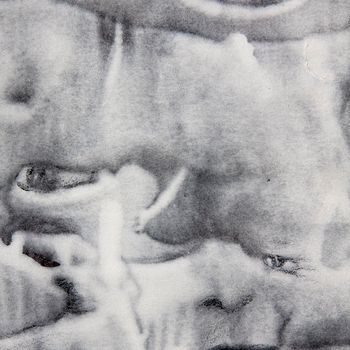 Ice beings melting / Detail