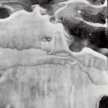 Frozen products transport / Detail