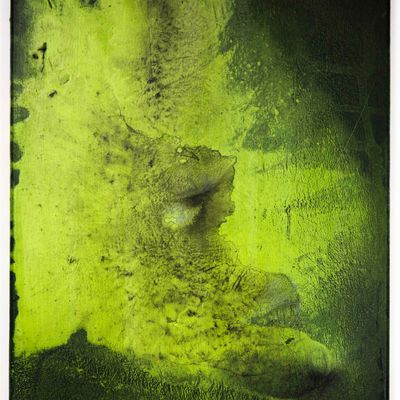 Burro-lobo, 2020 / Acrylic on canvas / 41×33 cm