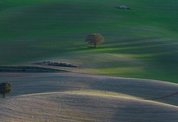 Montes Orientales