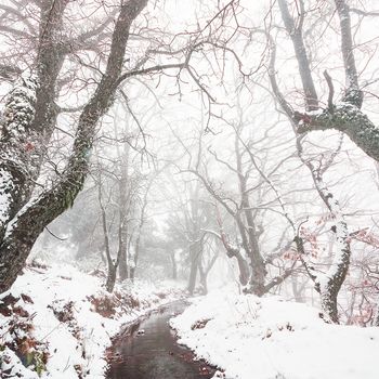 Las Alpujarras