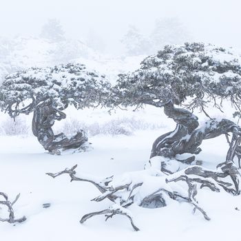 Sierra de Segura