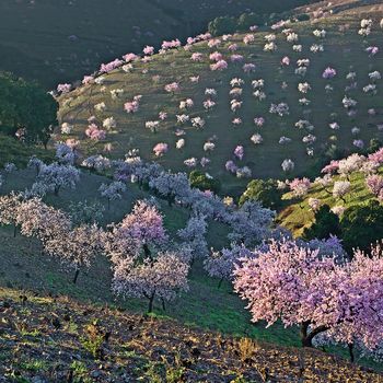 Las Alpujarras