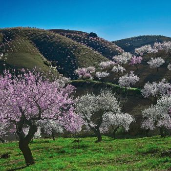 Las Alpujarras