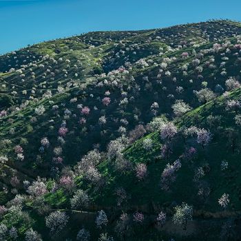 Las Alpujarras