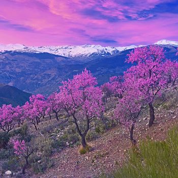 Las Alpujarras