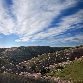 Las Alpujarras