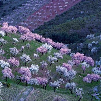 Las Alpujarras