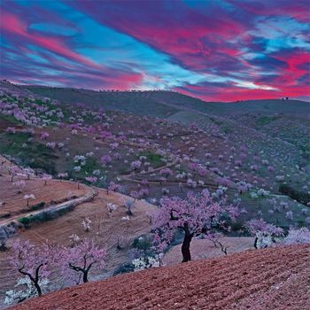 Las Alpujarras