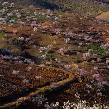 Las Alpujarras