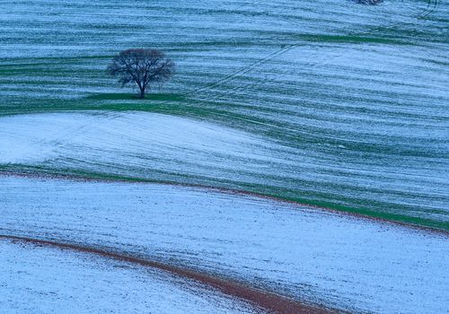 Montes Orientales