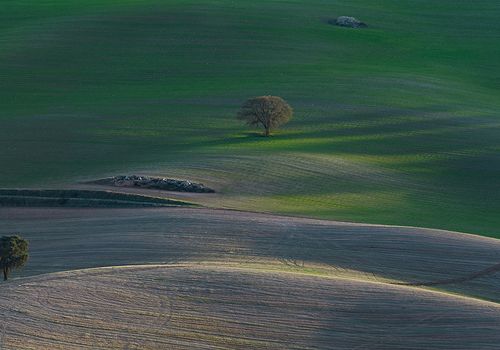 Montes Orientales