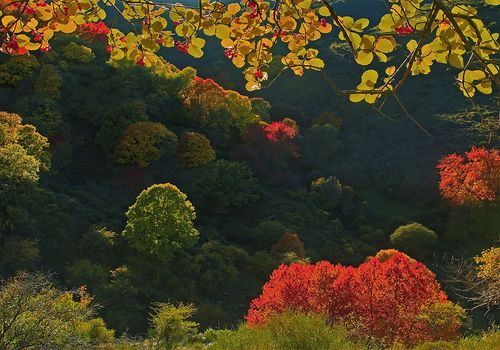 Sierra de Baza