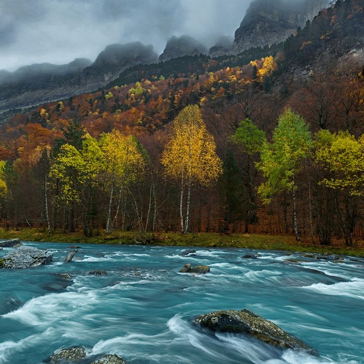 Colores de otoño