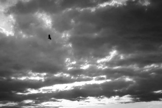 solitud in the sky , cuban photography fine art by louis alarcon