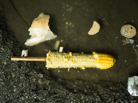corn on the floor in the havana´s carnivals