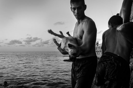 dogs in Cuba by louis alarcon