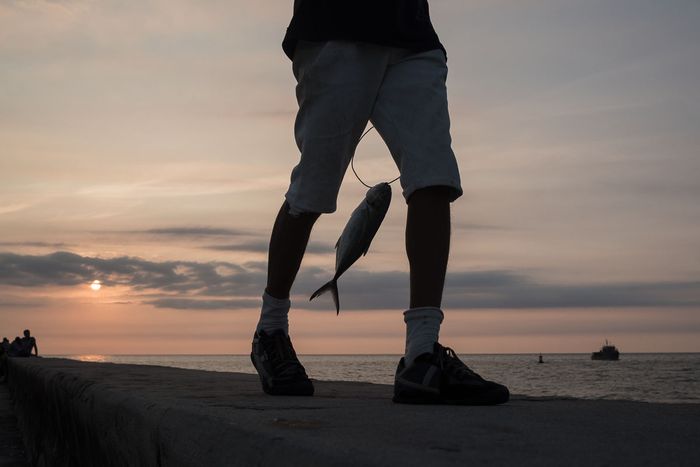 the man and the fish in the sunset of cuba